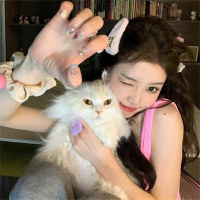猫王（迷你剧） 封面