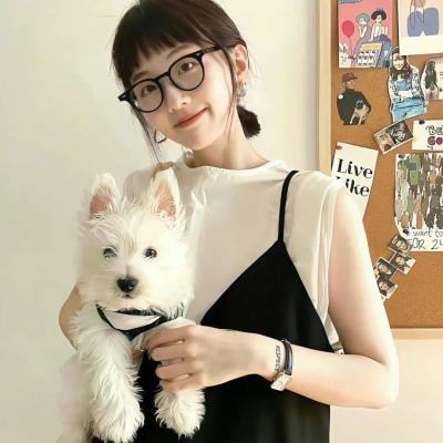 超凡双子 封面