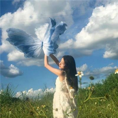 烟花泪 封面